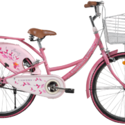 bsa ladybird sofia cycle