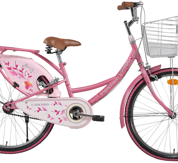 Bsa breeze cycle online