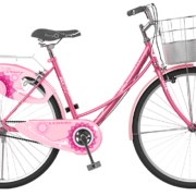 BSA_Ladybird_Dreamz_Pink_2018_05